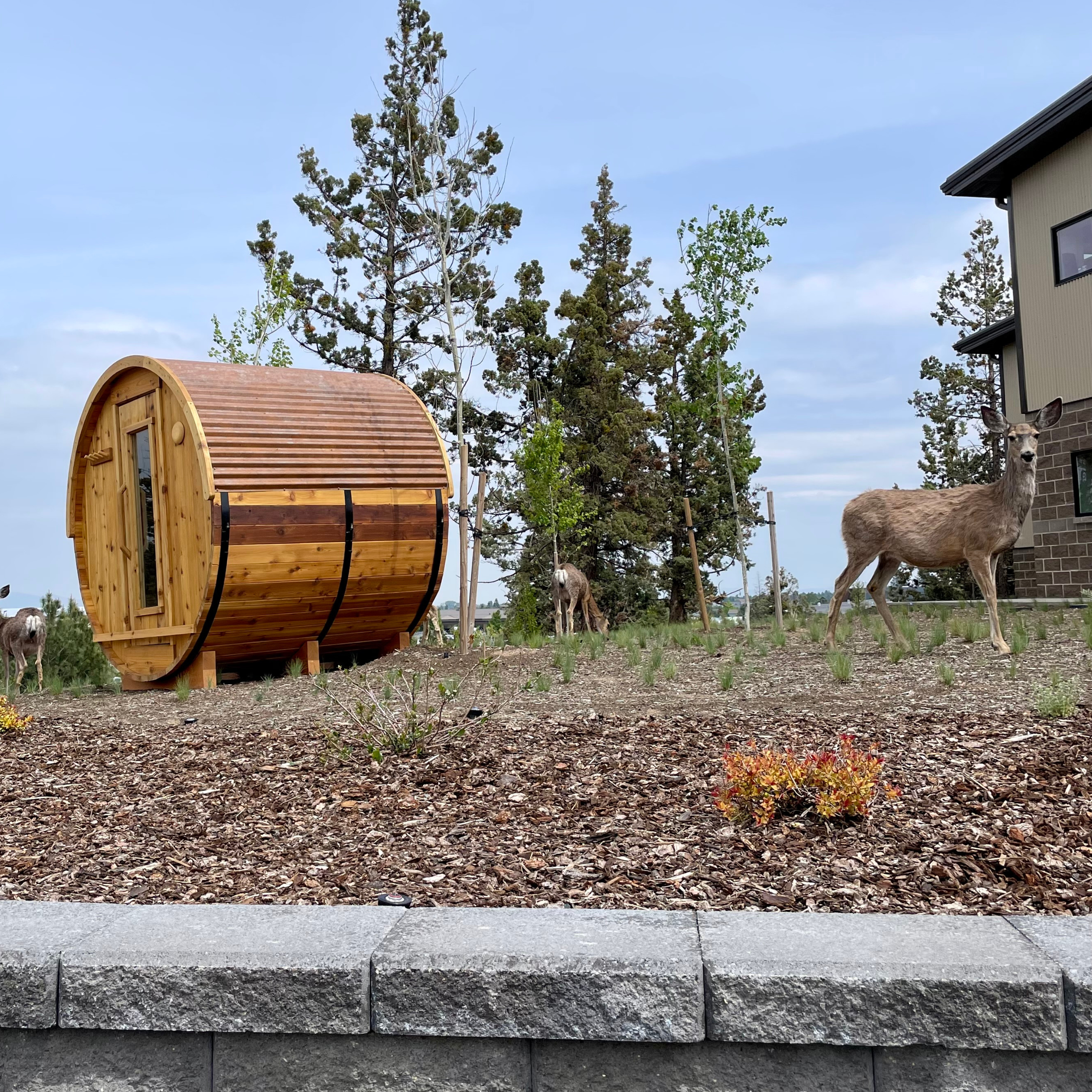 6' BARREL SAUNA