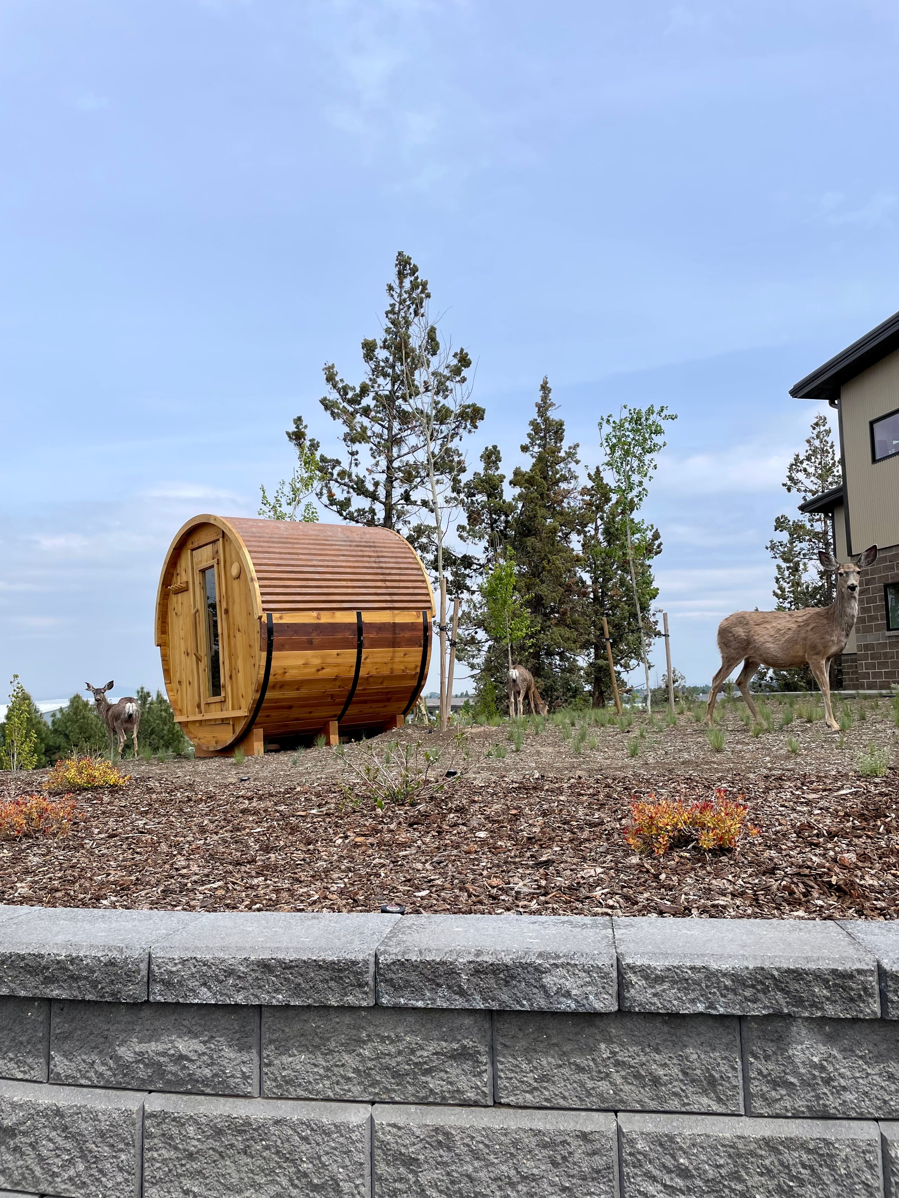 6 foot barrel sauna in back yard